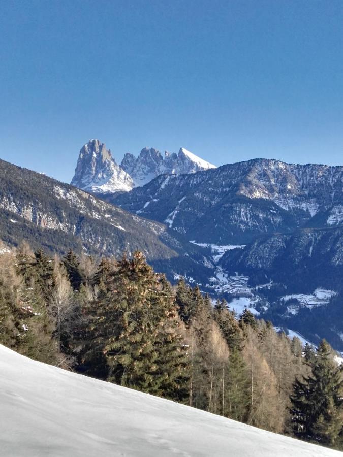 Alpine Chalet Aurora Dolomites Лайон Екстериор снимка