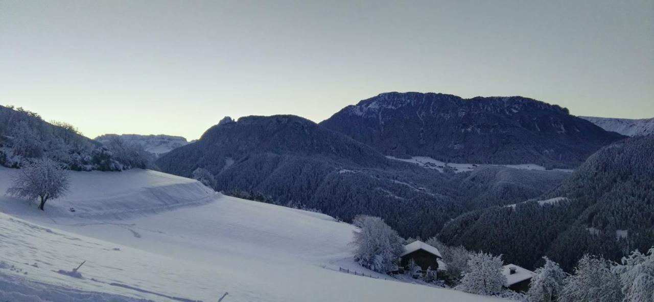 Alpine Chalet Aurora Dolomites Лайон Екстериор снимка